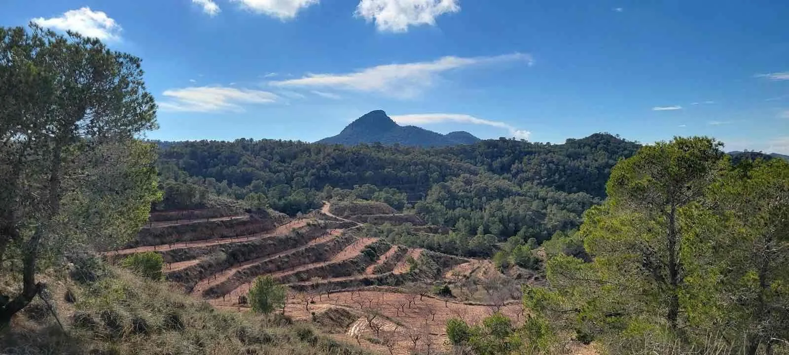 Panorama van de Hondón-vallei met bergen en landbouwgrond rond La Canalosa