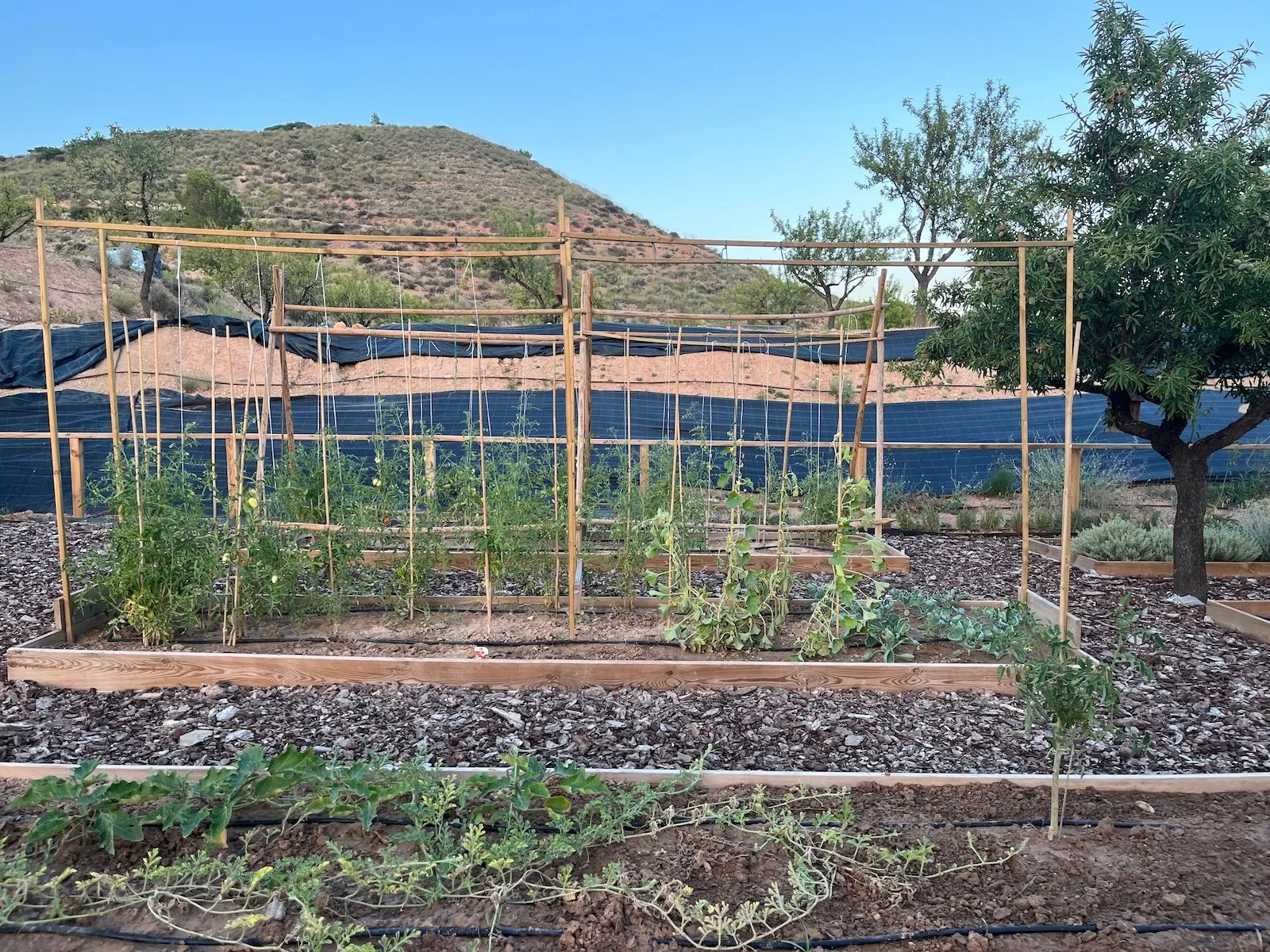 De moestuin met boogpergola naast het huis