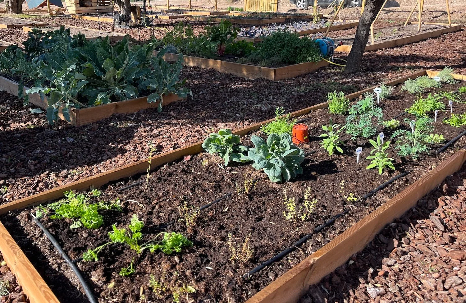 Verhoogde moestuinbakken