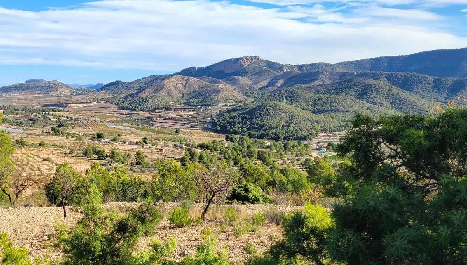Een open, onbebouwd landschap in het binnenland van Alicante